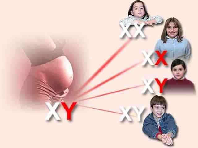 hemofilia